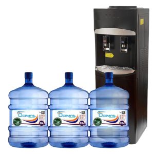 Pack de inicio 7 | *** DESPACHO DISPONIBLE SOLO VALPARAISO METROPOLITANO ***